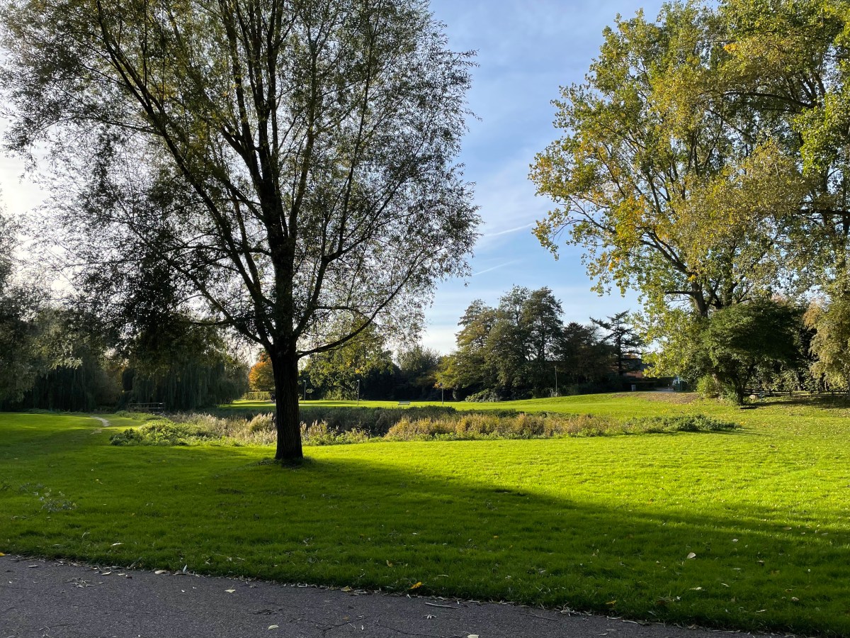 在丹麦怀孕是一种怎样的体验